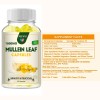 3 Bottles Mullein Leaf Capsules Lung Cleanse Detox Herbal Dietary