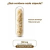 Hongo Melena De León 60 Cápsulas Lions Mane Mushroom Supplement,