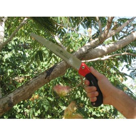 TABOR TOOLS Pruning Saw with Sheath, 10 Inch Hand Saw with Straight Blade and Holster, Suitable for Trimming Tree Branches and Clearing Forest Trails. TTS32A. (10 Inch, Straight Blade)