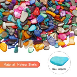 sourcing map 500g Crushed Shells Irregular Natural Mosaic Sea Shell Fragments for Home Decoration Art Crafts DIY Projects Multicolor