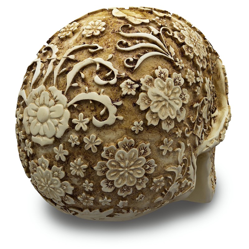 READAEER Life-Size Skeleton Replica Realistic Human Skull Head Bone Model