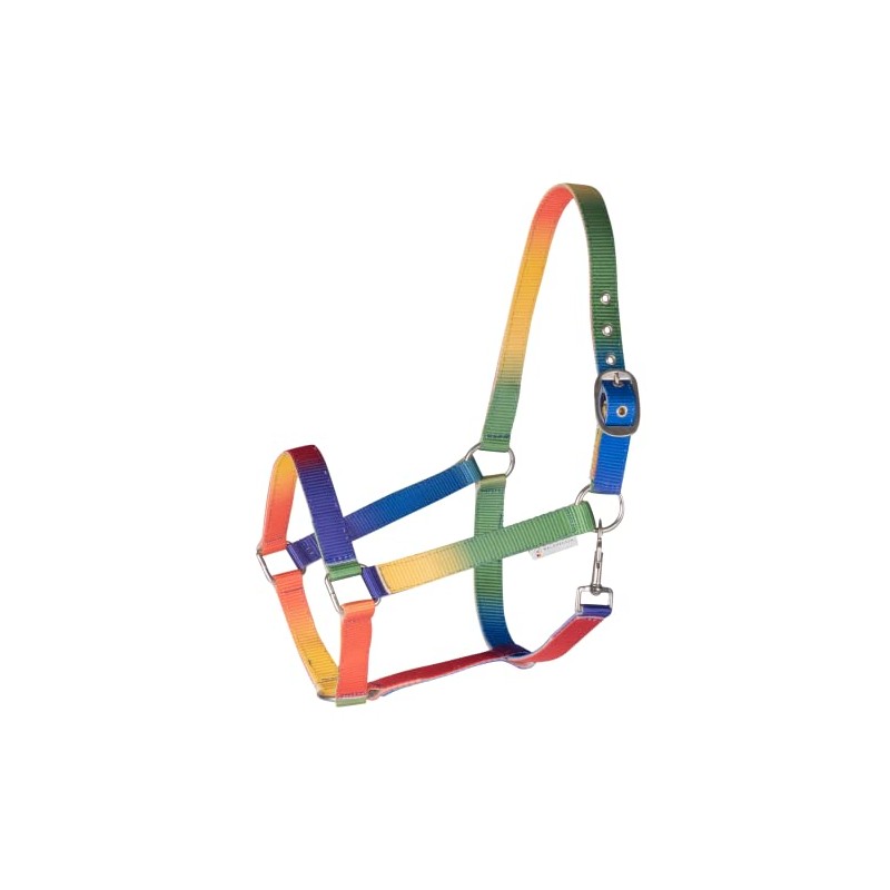 WALDHAUSEN Halfter Rainbow, VB und WB neon multi Size:VB