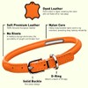 Dogline Leather Collar