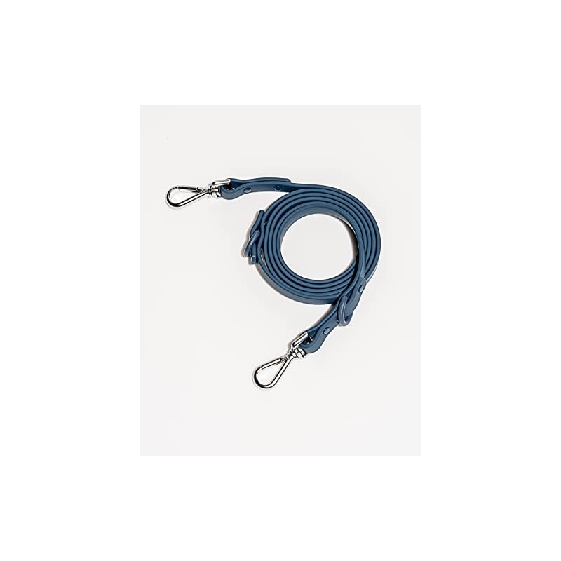 Wild One Leash - Small - Blue