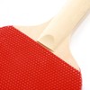 Entry-Level Table Tennis Racket and Ball Set, Double-Sided Shakehand Racket Table Tennis Racket Set 3ea