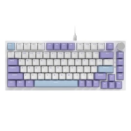 AJAZZ AK820 75% Wired RGB Gasket Mechanical Keyboard with Volume Knob, Compact 82 Keys Hot-Swap Keyboard, OME Profile PBT Keycap, Detachable Type-C Cable (Purple&Blue)