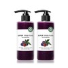 Chosungah Wonder Bath Super Vegitox Cleanser 300ml x 2 pumps
