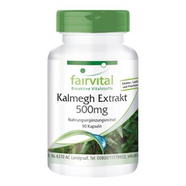 Fairvital Kalmegh Extract 500 mg - 90 Capsules 5-fold Concentrated Extract from the Kalmegh Leaf - for 3 Months - Quality Tested and High Dose - 100% Vegan - Made in Germany