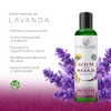 Naturalness Aceite para Masaje Corporal Hidratante con Manzanilla, Hamamelis y