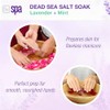 Bio Creative Lab Spa Remojo del Mar Muerto 473 ml