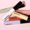 Lavish Color Correcting Concealer (105, PEACHES N CREAM)