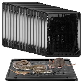 Qualirey 16 Pack Jumbo Rat & Mouse Glue Traps, 11.8 X 9.84 in Large Heavy Duty Mouse Traps Indoor for Home, Pre Scented Adhesive Plastic Tray with for Spider, Snake, Mice, Kids and Pet Safe (Black)