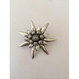 C1 Large Edelweiss pin badge fine english pewter pin badge with a prideindetails gift package