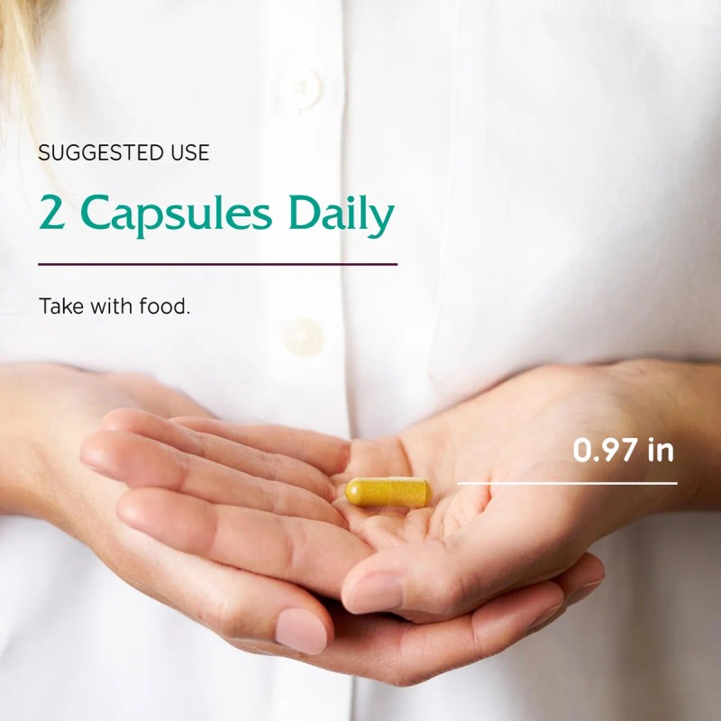 💊✨ VitaNica OC Companion: Contraceptive Support (60 Caps) 🌿🛡️