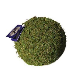 SuperMoss (21657) Moss Ball, Fresh Green, 6"