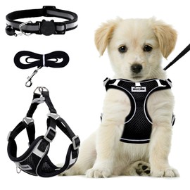 RAFIYU Dog Harness Medium Breathable Vest, Step-in Cat Puppy Harness and Lead Sets, Adjustable Reflective Anti Pull Dog Harness with Collars for Extra-Small/Small Medium Dogs Training or Walking (S)