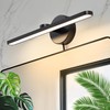 TYhogar 15.75" Plug in/Hardwired Bathroom Vanity Light Fixtures Modern Black