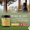 Kërr Naturals, Melena de León Extracto 1300 mg, 120 cápsulas