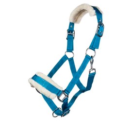 Posten Halfter-11796 Turquoise Warmblood