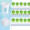 Hoolerry 100 Pcs Hydroponics Growing System Kit Include 50 Hydroponic