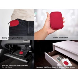 KING OF FLASH USB Flash Drive Case with Premium Quality Padded Protection for Up to 6 Flash/Key Drives, Flash Drive Case Organizer (Red)