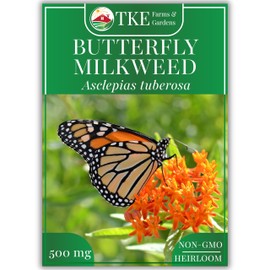 TKE Farms & Gardens - Butterfly Milkweed Seeds for Planting, 100+ Heirloom Non-GMO Seeds, Grow Vibrant Orange Flowers that Attract Monarch Butterflies, Easy Instructions Included, 1 Packet