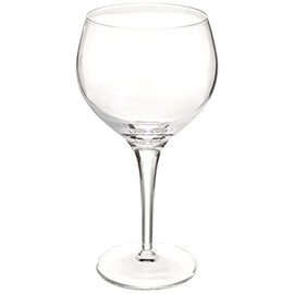Michelangelo Red Wine Glass (Set of 4)