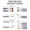 Anka Bella Professional Pre-Quality Face Paint Brushes Set,Including 14pcs Different