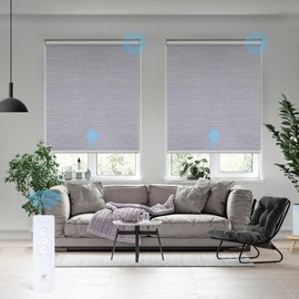 SmartWings Motorized Roller Shade Work with HomeKit, 100% Blackout Auto Window Blinds, Smart Home Cordless Remote Control, Rechargeable Motor, Light Grey,Maxium Height 72 inch, Width 24 inch