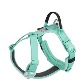 SMALL COMBINATION Dog Harness,Escape proof dog harness, adjustable vest with durable handling, dog harness for outdoor training walks