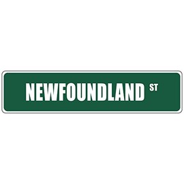 Aluminum Metal Street Sign Newfoundland Green Decorative Address Sign 18"x4"