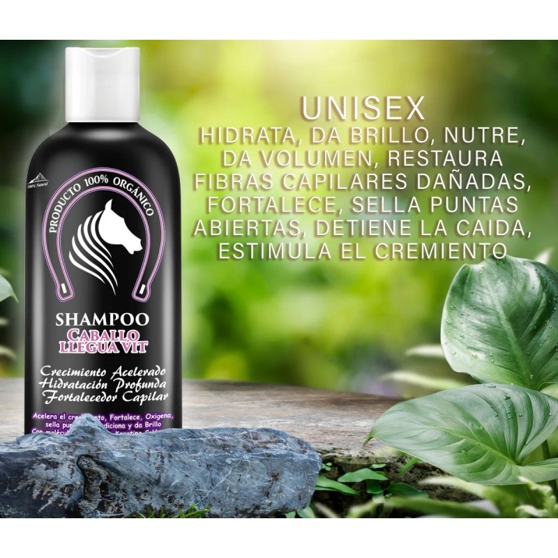 Shampoo Extracto Cola De Caballo + Acondicionador Argan-maca