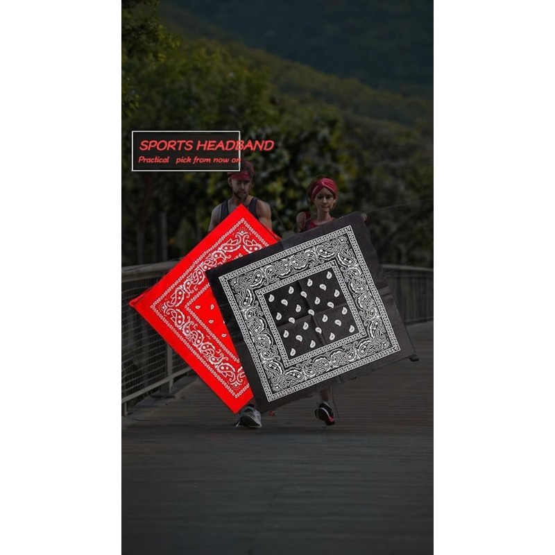 Honwor 2PCS Paisley Bandanas - Pirate Head Scarf for Men