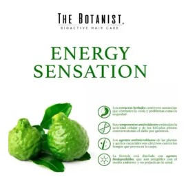 THE BOTANIST Acondicionador Bergamot Basil 591ml                                                                                                      