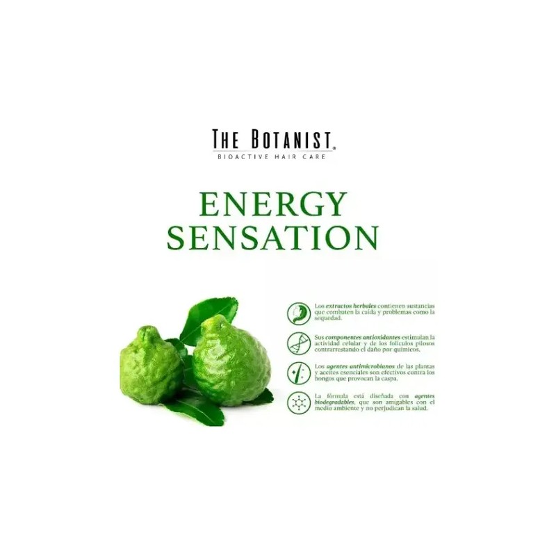 THE BOTANIST Acondicionador Bergamot Basil 591ml