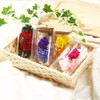 Tea Sight Preserved Flower Bottle Flower Gift Soleil Mother's Day