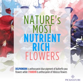 PICKNATURE Purple Hibiscus Tea and Butterfly Pea Flower Tea Loose Leaf Whole Petals Freshly Picked from Thailand | 3.5 oz (300+ Cups) | Herbal Tea Gifts | USDA Organic