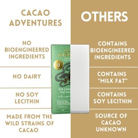 Cacao Adventures - 70% Ceremonial Grade Cacao Bar | Wild Strains | Natural | Ethically Sourced Sustainably Grown | (1.76 oz - Pack of 10)