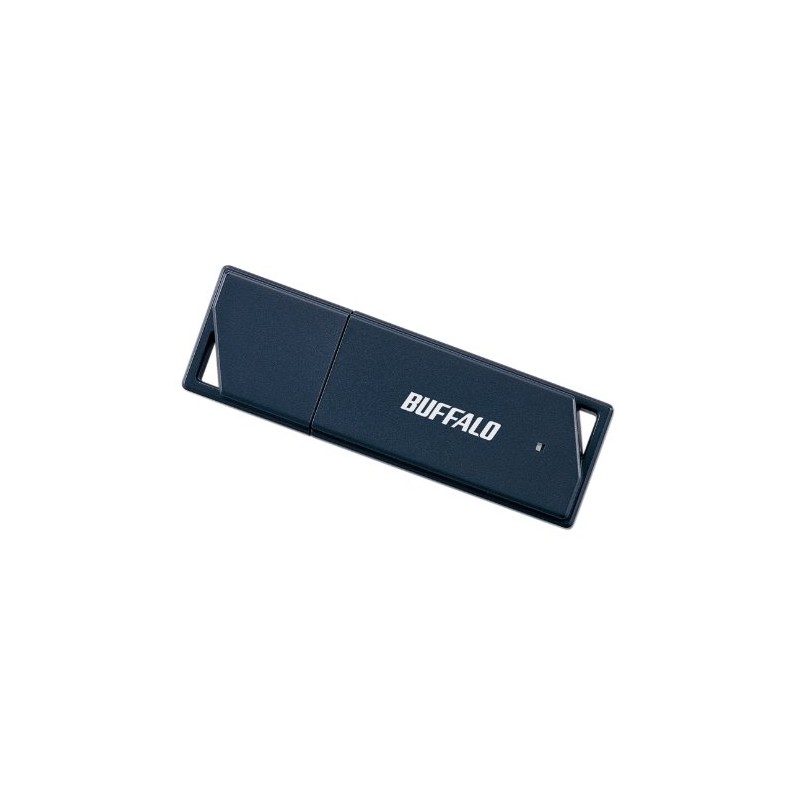 BUFFALO 2GB RUF2-K2GE-BK Value Type USB Memory