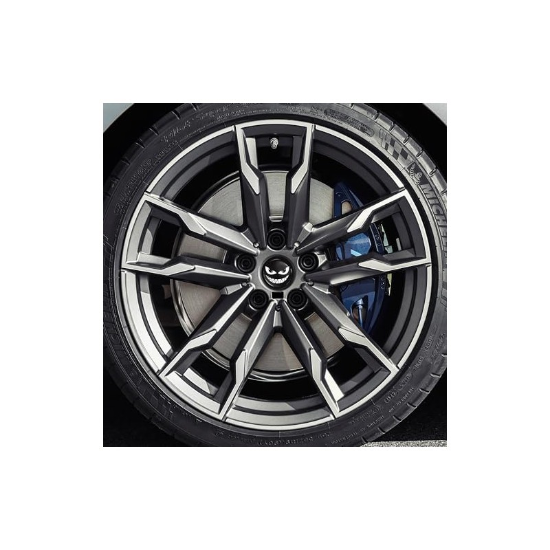 SkinoEu 4 x 68 mm Car Sticker for Hub Caps