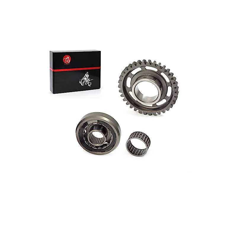One Way Starter Clutch and Driven Gear W/Gasket Compatible with