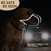 Mayerzon Dog Muzzle Mesh to Prevent Scavenging Biting Chewing |