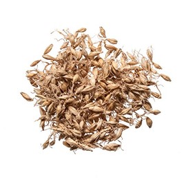 Plum Dragon Herbs Mai Ya Chinese Herb | Barley Sprout Herb | Hordeum vulgare L | Relieve Food Stagnation, Support Healthy Digestion - Pure Chinese Herb (1 Lb)