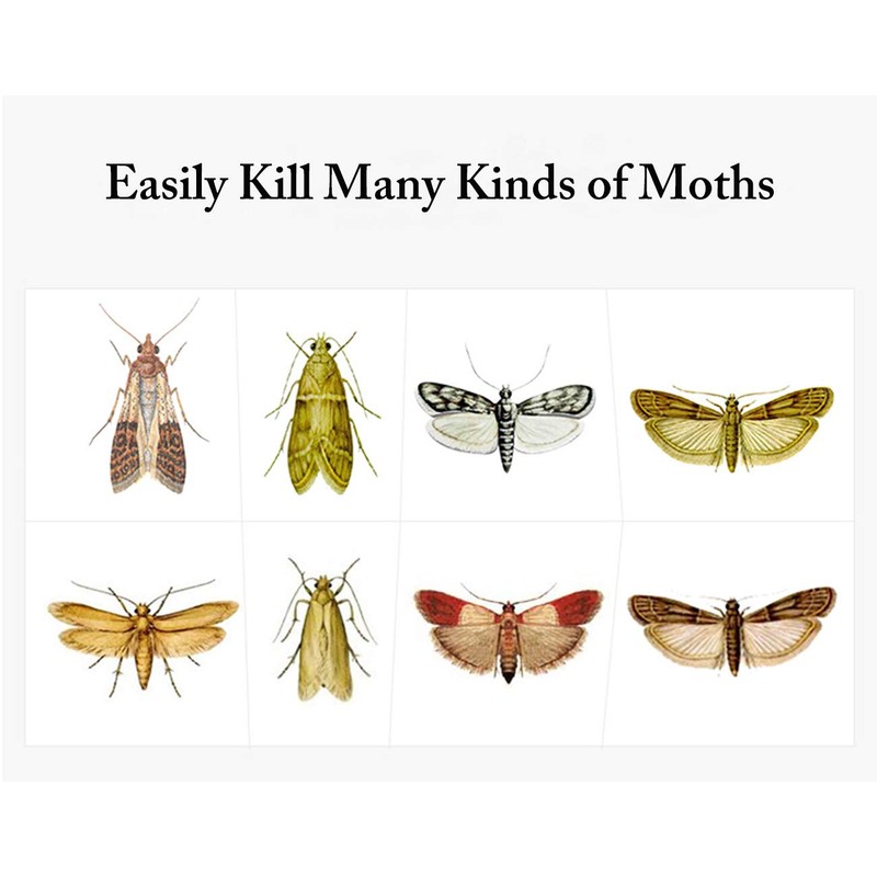 Faicuk Pantry Moth Traps with Pheromone Attractant for Home, Kitchen,