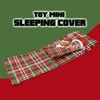 Elves Behaving Badly Naughty Christmas Elf Sleeping Bag Novelty Toy