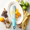 Spring Chef Premium Lemon Zester Grater with Handle - Fruits,