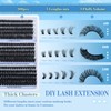 Fluffy Cluster Lashes Kit 10-18mm Individual Eyelashes Kit 60D-100D Volume