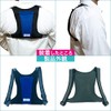 Denko Home Ice Ruck, Vertical Type, Includes 2 Ice Packs,