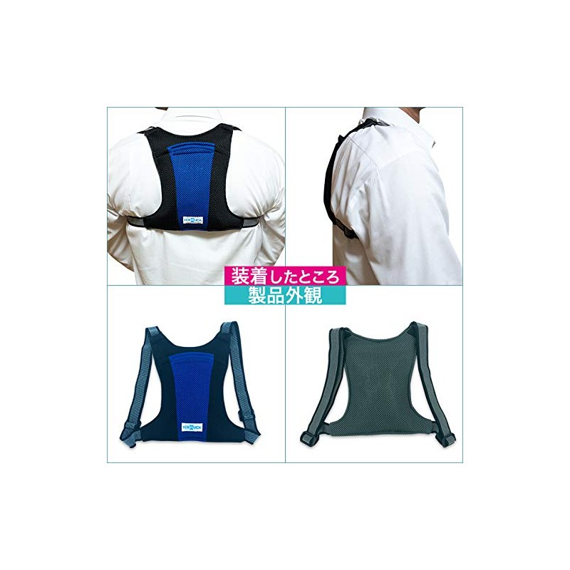 Denko Home Ice Ruck, Vertical Type, Includes 2 Ice Packs,