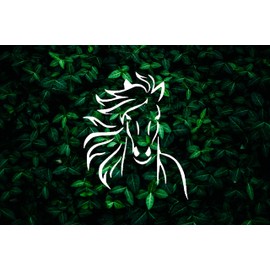 Horse Logo Stencil 5x6 in Arts and Crafts Material Scrapbooking for Airbrush Painting Drawing and More Reusable Stencil STENCILAIR